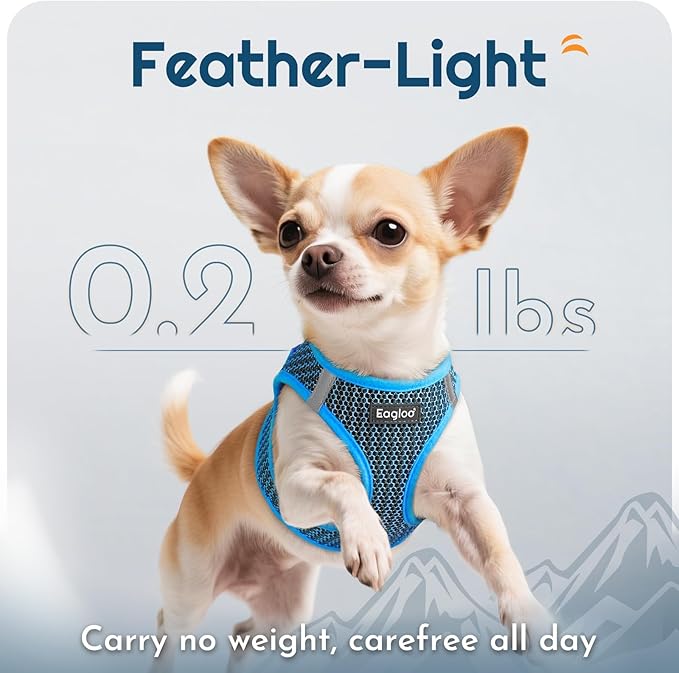 Eagloo Small Dog Harness and Leash Set, Step in Puppy Vest with Breathable Soft Mesh, Walking Reflective Pet Harness for Small Dogs, Blue, S
