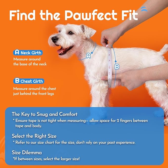Eagloo Small Dog Harness and Leash Set, Step in Puppy Vest with Breathable Soft Mesh, Walking Reflective Pet Harness for Small Dogs, Orange, XXS