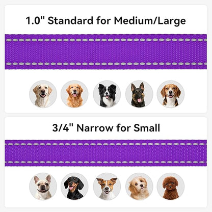 Joytale Dog Leash, 6 FT Double-Sided Reflective, Padded Handle Nylon Heavy Duty Leashes for Medium & Large Dogs Walking, Purple