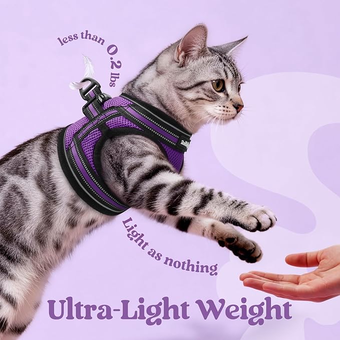 rabbitgoo Cat Harness and Leash Set for Walking Escape Proof, Adjustable Soft Kittens Vest with Reflective Strip for Cats, Comfortable Outdoor Vest, Purple, XL
