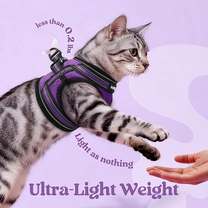 rabbitgoo Cat Harness and Leash Set for Walking Escape Proof, Adjustable Soft Kittens Vest with Reflective Strip for Cats, Comfortable Outdoor Vest, Purple, XL