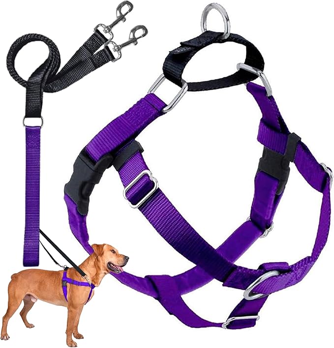 2 Hounds Design Freedom No Pull Dog Harness, Adjustable Harness and Leash Set, Easy Walking & Comfortable Control, Fits Small, Medium & Large Dogs, Solid Colors, Made in USA, 5/8" XS, Purple