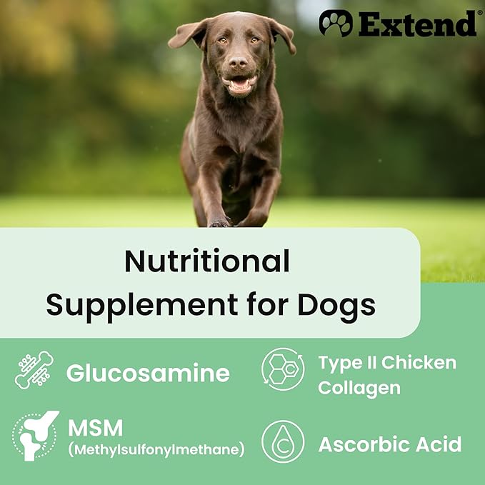 Extend Dog Hip and Joint Supplement Beef Flavored Powder Packets with Glucosamine, Chondroitin, MSM & Collagen, Hip & Joint Support, Mobility & Cartilage Health, Daily Dog Supplement, 60 Count