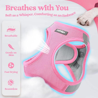 rabbitgoo Dog Harness Small Sized and Leash Set, Step in Soft Light Puppy Vest, Breathable Mesh Pet Harness, Reflective for Safe Easy Walking, Pink & Gray XS