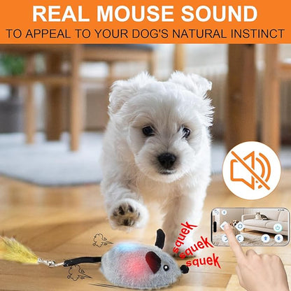 BABORUI Interactive Dog Toys Mouse, Automatic&APP Control Escaping Mice Squeaky Dog Toy with Lights & Auto-Turn, Rechargeable Moving Dog Toys for Small/Medium/Large Dogs & Cats(Grey)