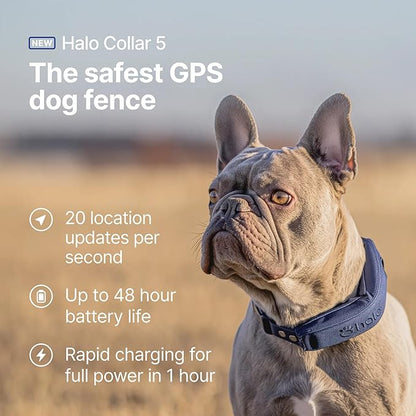 Halo Collar 5 Wireless Dog Fence & GPS Dog Collar, Keep Your Dog Safely Contained Outdoors with App-Controlled Boundaries and Real-Time Tracking, One Size, Orchid