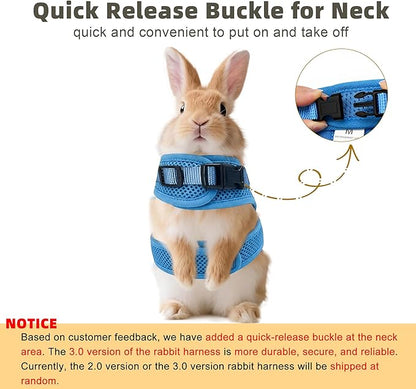 AIITLE Rabbit Harness and Leash Set with Cute Bow, Soft Breathable Mesh Vest Harness for Rabbits Kitten Ferret Puppy Small Pets Walking Supplies Blue L