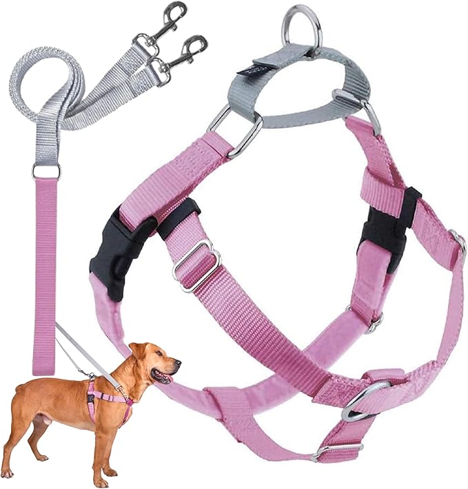 2 Hounds Design Freedom No Pull Dog Harness, Adjustable Harness and Leash Set, Easy Walking & Comfortable Control, Fits Small, Medium & Large Dogs, Solid Colors, Made in USA, 1" LG, Rose