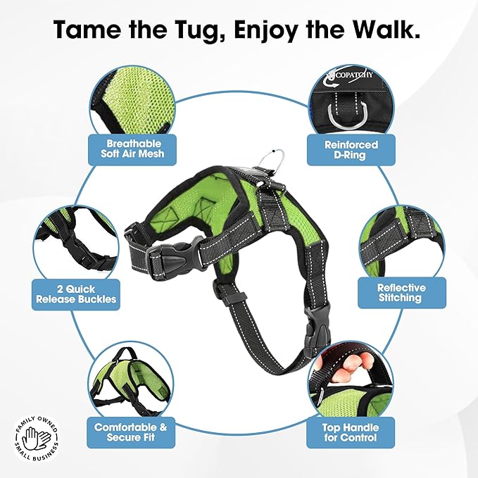 No Pull Reflective Adjustable Dog Harness With Handle- Comfortable Soft All Weather Mesh, Easy On Puppy Harness For Small Medium and Large Dogs (Green) XX-Small