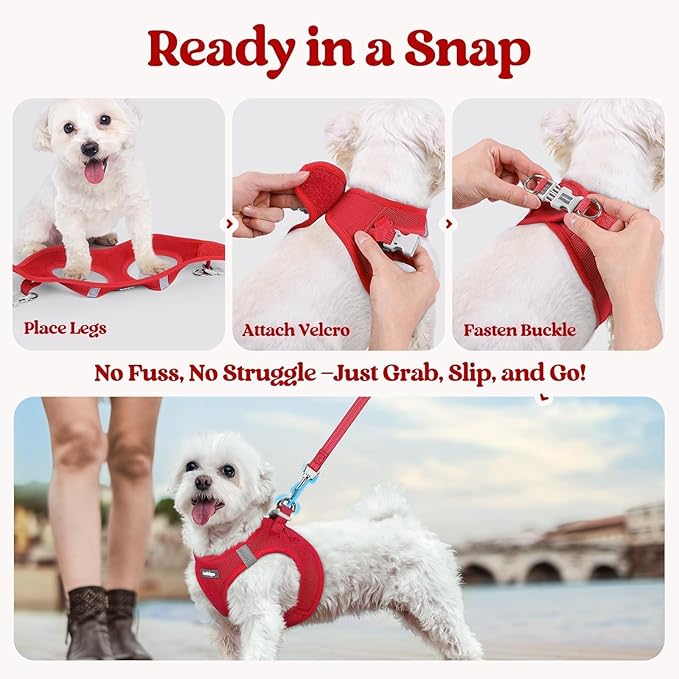 rabbitgoo Dog Harness Small Medium Sized and Leash Set, Step in Soft Light Puppy Vest, Breathable Mesh Pet Harness, Reflective for Safe Easy Walking, Red L