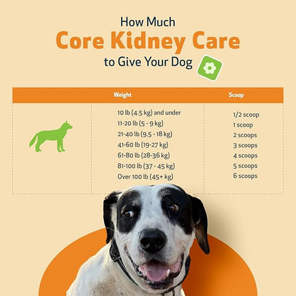 Pet Wellbeing Core Kidney Care for Dogs - Daily Phosphate Binder, Supports Healthy Kidney Function with FOS, Chitosan, Probiotics - Veterinarian-Formulated 5.08 oz (144 g) Powder