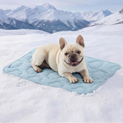 LE SURE Dog Cooling Mat for Medium Dogs - Q-Max>0.5 Breathable Thin Cool Crate Pad for Puppy with Chill Fiber and Innovative Mesh Base Design, Portable Washable Pet Kennel Mat for Summer, 29x21,Blue