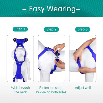 PoyPet Reflective Soft Breathable Mesh Dog Harness Choke-Free Double Padded Vest with Adjustable Neck and Chest(Royal Blue,S)