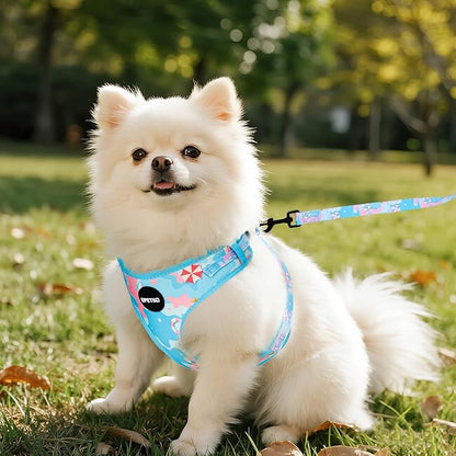 Small Dog Harness and Leash Set of 6, No Pull Soft Lightweight Mesh Puppy Harness， Adjustable Cute Floral Pattern Pet Harness for Small Medium Dogs (Blue Sea, L)
