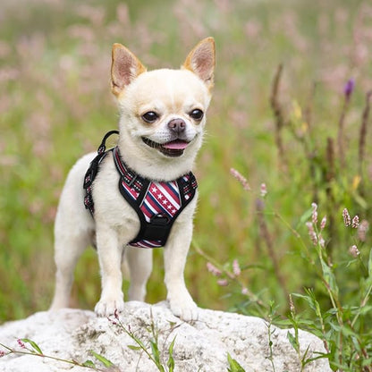 rabbitgoo Dog Harness No Pull with 2 Leash Clips, Adjustable Soft Padded, Reflective Oxford No Choke Pet Vest with Easy Control Handle for Large Dogs, Red Stripe, XS