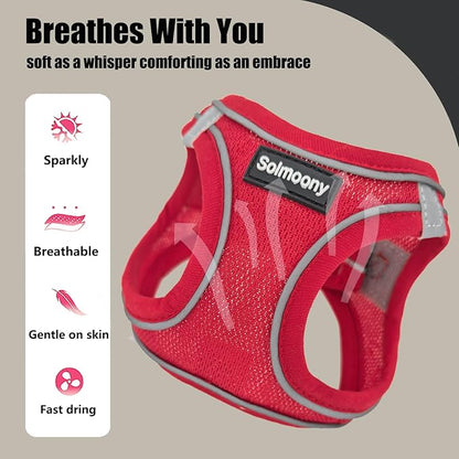 Solmoony Sparkly XS Dog Harness and Leash Set, Step in Soft Light Puppy Vest, Breathable Reflective Pet Harness for Walking, Puppy Harness for Small Dogs Cats (Red, XS)