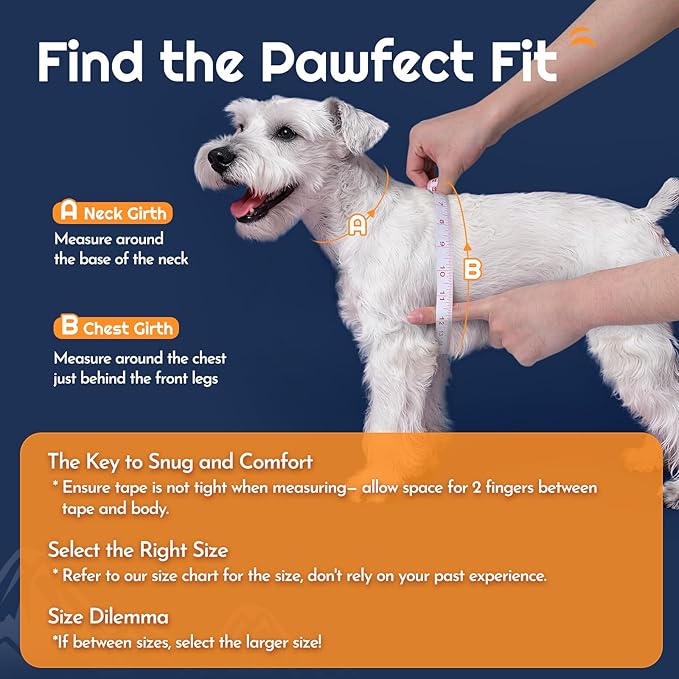 Eagloo Small Dog Harness and Leash Set, Step in Puppy Vest with Breathable Soft Mesh, Walking Reflective Pet Harness for Medium Small Dogs, Navy Blue, L
