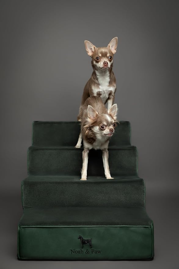 Noah & Paw Dog Stairs, Dog Ramp for Bed (17" Extra Wide) Pet Stairs for High Bed, Design to Fit Small and Large Breeds, Durable 4 Pet Steps for Couch (35 Foam Density) Leather Collection