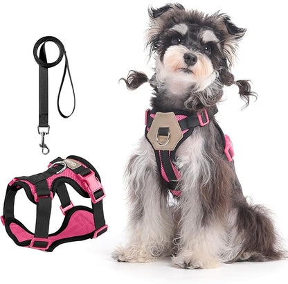 Small Dog Harness and Leash Set, Breathable Mesh Puppy Harness, Adjustable Dog Harness for Small Medium Large Dogs, No-Pull Pet Harness for Daily Walking (Hotpink, Small)