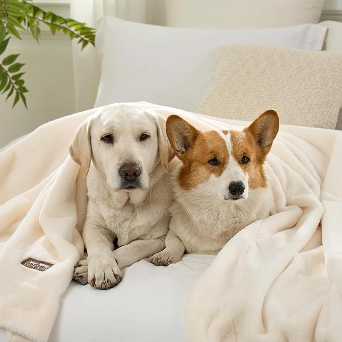 COZY KISS Luxury Faux Fur Throw Blanket for Couch, Ultra Soft Waterproof Pet Blanket, Cozy Warm Plush Blanket for Sofa Bedroom Living Room, Liquid Pee Proof for Large Dog or Cat, 50x60 inch, Cream