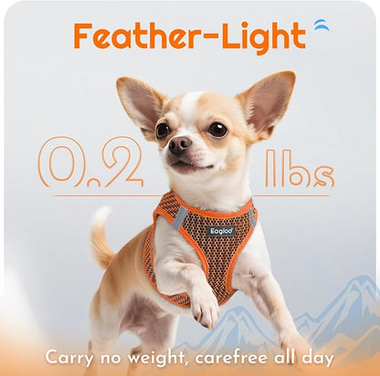 Eagloo Small Dog Harness and Leash Set, Step in Puppy Vest with Breathable Soft Mesh, Walking Reflective Pet Harness for Small Dogs, Orange, S