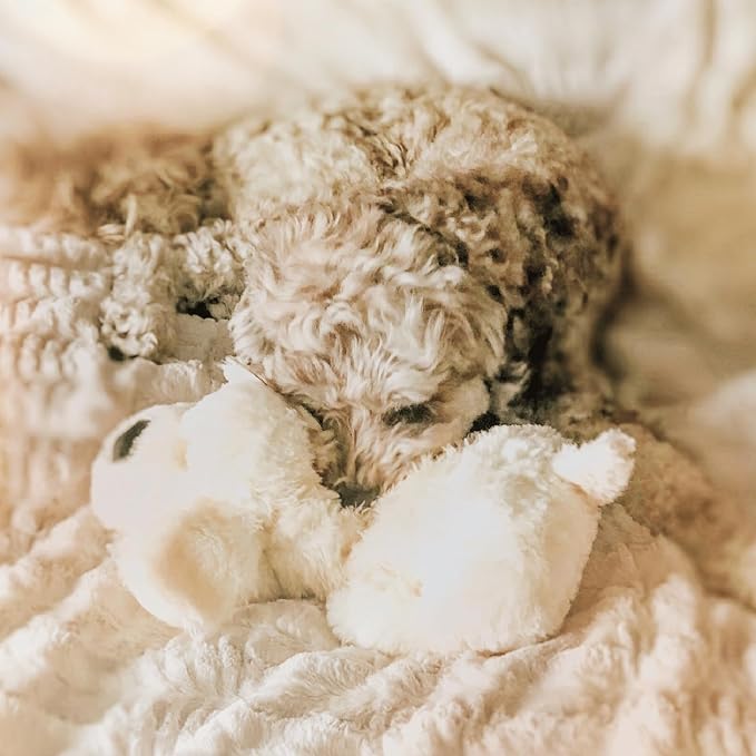 Snuggle Puppy Heartbeat Dog Toy for Puppies, Real-Feel Heartbeat, Calming Sleep Aid and Crate Training Comfort Toy with Heat Pack, Cream Plush Design