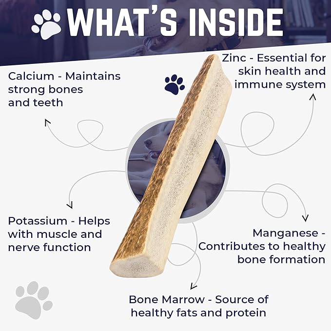 Devil Dog Pet Co - Split Elk Antler for Dogs Small 2 Pack - Exposed Marrow Chew for Puppies & Moderate Chewers - Naturally Shed Grade A Rocky Mountain Elk, Anxiety & Boredom Relief (Up to 15 lbs)