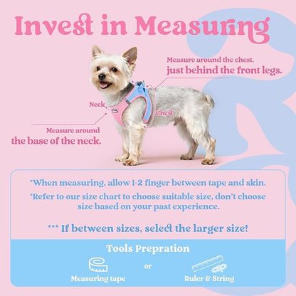 rabbitgoo Small Dog Harness, Step-in Soft Mesh Puppy Vest with Safety Buckle, Breathable Reflective Pet Harness for Small Medium Dogs, Blue & Light Pink XL