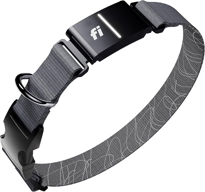 Fi New Series 3+ Smart Dog Tracker Collar [6 Month Membership Included] GPS Tracker for Dogs with Health & Behavior Monitoring, Escape Alerts, Waterproof, LED, Apple Watch Compatible (Gray, Medium)