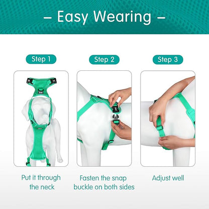PoyPet Reflective Soft Breathable Mesh Dog Harness Choke-Free Double Padded Vest with Adjustable Neck and Chest(Mint Green,XS)