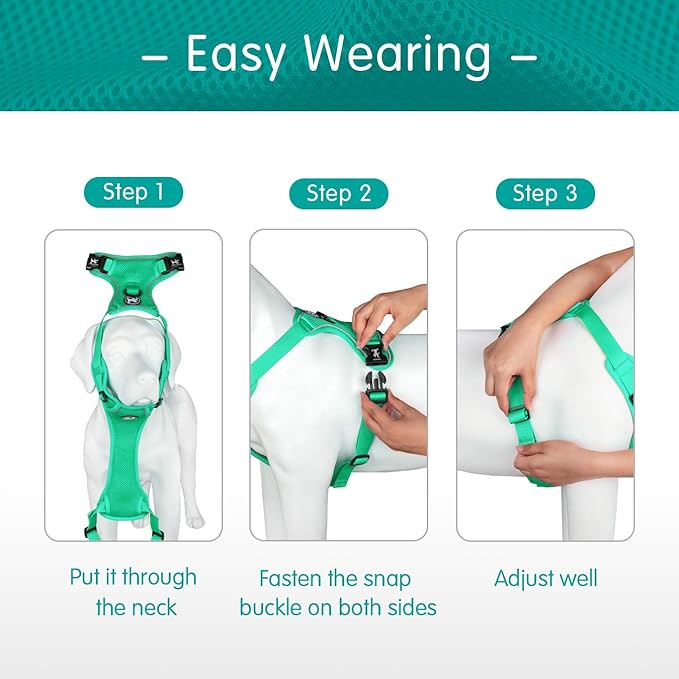 PoyPet Reflective Soft Breathable Mesh Dog Harness Choke-Free Double Padded Vest with Adjustable Neck and Chest(Mint Green,M)