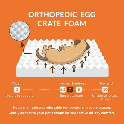 Muihood Wood Elevated Dog Bed Frame and Egg Crate Foam Mattress, Luxurious Suitable for Pets Up to 80 lbs, White, L