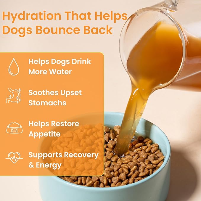 Dog Hydration & Recovery – Helps Dogs Drink More Water During Diarrhea, Vomiting, Low Appetite & Post-Surgery – Digestion Support with Turkey Tail Mushroom & Bone Broth, 12 Sticks