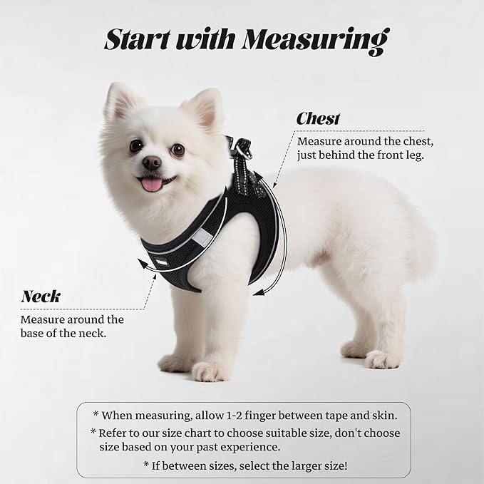 YIMEIS Dog Harness and Leash Set, No Pull Soft Mesh Pet Harness, Reflective Adjustable Puppy Vest for Small Dogs, Cats (M, Black) fit Small
