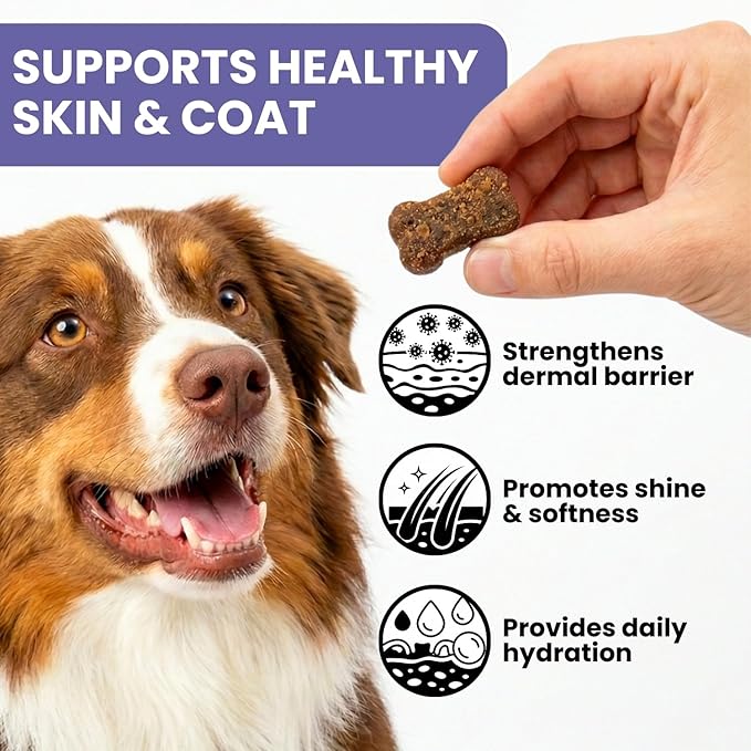 Skin and Coat Supplement for Dogs, 90 Soft Chews with Vitamin E and Essential Fatty Acids (Omega 3, Omega 6 and Omega 9 Fish Oil), Advanced Formula with Anti-inflammatory Properties