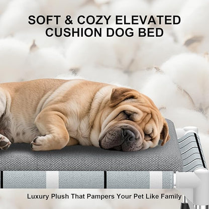 Elevated Raised Outdoor Dog Bed - Cooling Lifted Outside Dogs Bed with Cushion Mat Dog Hammock Bed with Stainless Steel Frame Portable Puppy Pet Bed for Indoor & Outdoor ((M-): 34" x 20" x 8")