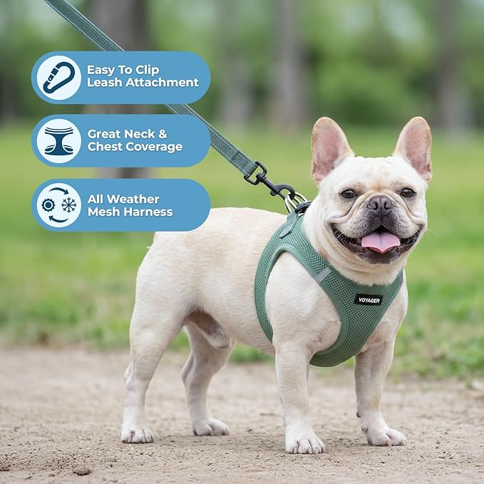 Best Pet Supplies Voyager Step-in Air All Weather Mesh Harness and Reflective Dog 5ft Leash Combo with Neoprene Handle, for Small, Medium and Large Breed Puppies - Set (Moss Green), Small