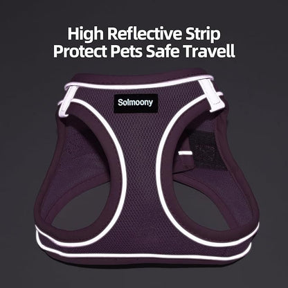 Solmoony Sparkly XS Dog Harness and Leash Set, Step in Soft Light Puppy Vest, Breathable Reflective Pet Harness for Walking, Puppy Harness for Small Dogs Cats (Blue, XS)
