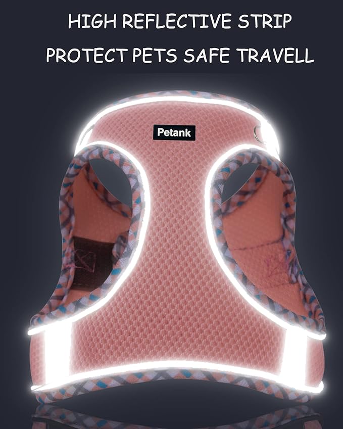 Petank Dog Harness for Small Medium Dogs No Pull, Puppy Harness and Leash Set,Step in Dog Harness for Walking, Running, Training, Small Dog Vest(Black, XXS)