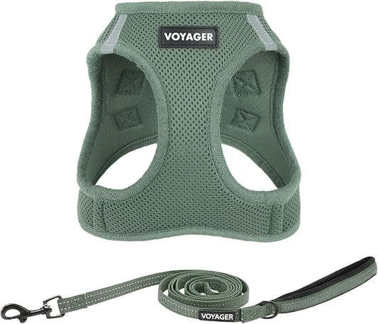 Best Pet Supplies Voyager Step-in Air All Weather Mesh Harness and Reflective Dog 5ft Leash Combo with Neoprene Handle, for Small, Medium and Large Breed Puppies - Set (Moss Green), X-Small