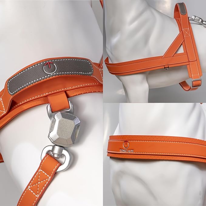Magnetic Dog Harness and Leash Set with Quick Release Buckle, Easy On & Off Faux Leather Puppy Harness and Leash with Handle for Medium, Large Sized Dog