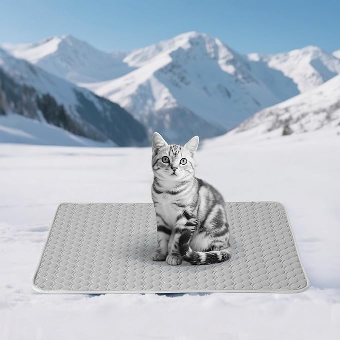 Soulbond Cooling Mat for Small Dogs - 25"x35" Washable Cooling Pad for Dogs & Cats, QMAX>0.3, Anti-Slip Bottom, Portable Summer Cool Pet Bed Pad for Outdoor/Indoor/Cars/Travel Use, Dark Gray