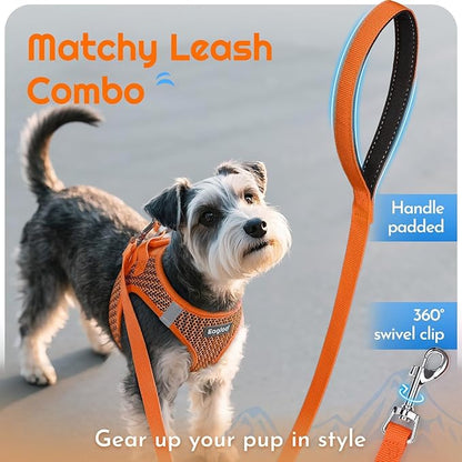 Eagloo Small Dog Harness and Leash Set, Step in Puppy Vest with Breathable Soft Mesh, Walking Reflective Pet Harness for Small Dogs, Orange, XXS