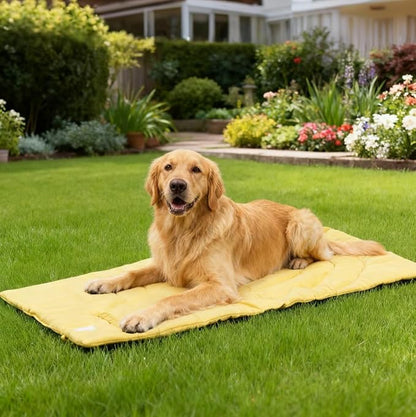 Travel Dog Bed | Camping Dog Bed | 37.4"x25.6" Waterproof Outdoor Dog Mat | Portable Place Mat for Dogs with Handle | Machine Washable | Easy Clean for Outdoor Adventures (Blue)