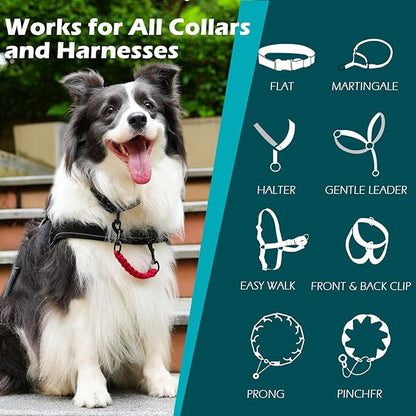 PetBonus Dog Collar Safety Clip, Handmade Backup Safety Strap for Dog Harness, Prong, Pinch Collar, Double Ended Clasp Leash Connector (Red)