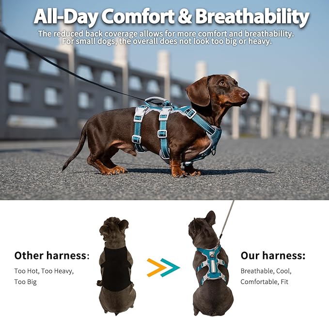Huntboo No Escape Dog Harness, Escape Proof Harness, Fully Reflective Harness with Padded Handle, Breathable, Durable, Adjustable Vest for Medium Dogs Walking, Training, and Running Gear (Teal,M)