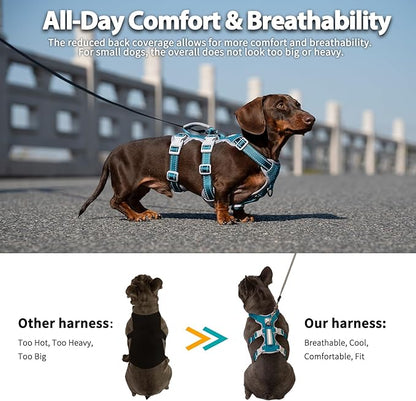 Huntboo No Escape Dog Harness, Escape Proof Harness, Fully Reflective Harness with Padded Handle, Breathable, Durable, Adjustable Vest for Medium Dogs Walking, Training, and Running Gear (Teal,M)