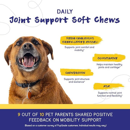 PupGrade Joint Support Supplement for Dogs - Glucosamine + Chondroitin with MSM and Perna - Supports Normal Hip & Joint Health for Occasional Discomfort, Peanut Butter Flavor - 360 Soft Chews