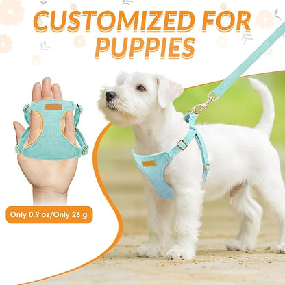 SlowTon Dog Harness Small Sized Dog - Soft XXS Dog Harness and Leash Set No Pull No Chock, Adjustable Lightweight Puppy Harness for XS Small Medium Dogs Cats (Solid Light Blue, M)