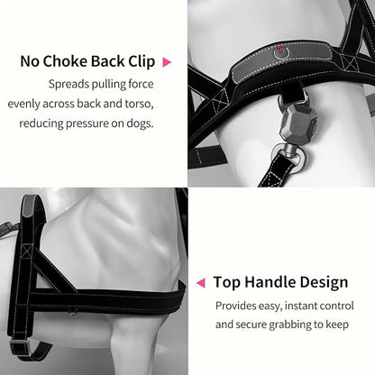 Magnetic Dog Harness and Leash Set with Quick Release Buckle, Easy On & Off Faux Leather Puppy Harness and Leash with Handle for Medium, Large Sized Dog